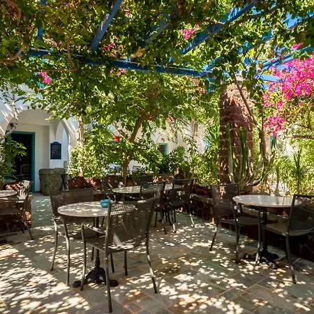 Andreas * Kamari (Santorini)