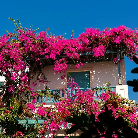 Andreas * Καμάρι