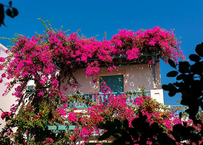 Andreas * Καμάρι