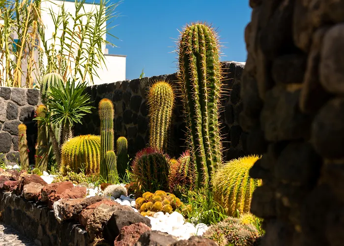 Andreas Διαμέρισμα