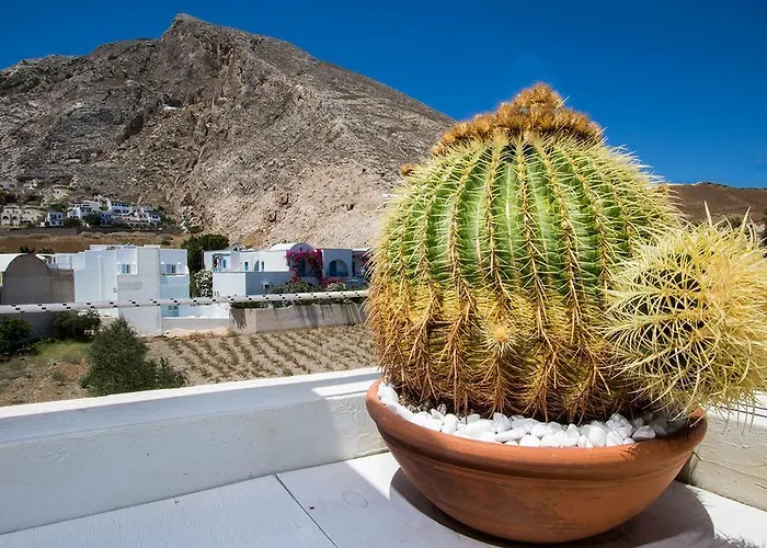 Andreas Καμάρι